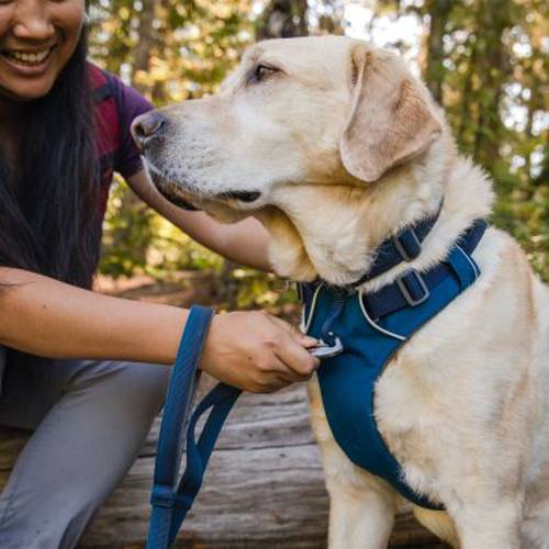 Ruffwear Front Rage, szelki dla psa, ciemnoniebieskie Rozmiar M: obwód klatki piersiowej: 69 - 81 cm, szerokość: 29 mm - Ruffwear