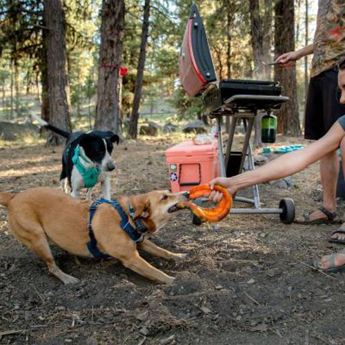 Ruffwear Front Rage, szelki dla psa, ciemnoniebieskie Rozmiar M: obwód klatki piersiowej: 69 - 81 cm, szerokość: 29 mm - Ruffwear