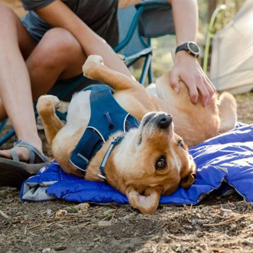 Ruffwear Front Rage, szelki dla psa, ciemnoniebieskie Rozmiar M: obwód klatki piersiowej: 69 - 81 cm, szerokość: 29 mm - Ruffwear