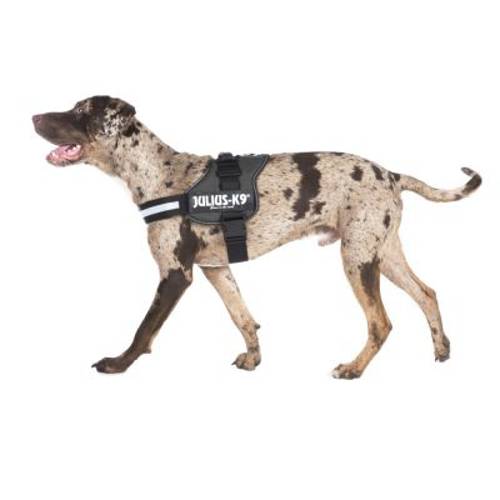 JULIUS-K9® Power Anthracite szelki dla psa Rozm. 0/M–L: 58–76 cm - JULIUS-K9