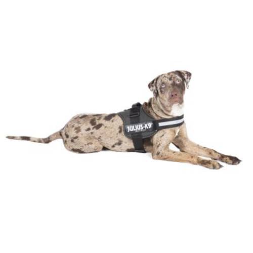 JULIUS-K9® Power Anthracite szelki dla psa Rozm. 0/M–L: 58–76 cm - JULIUS-K9