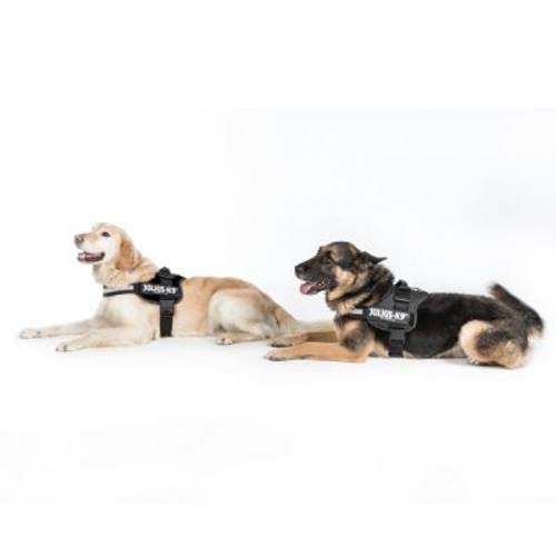 JULIUS-K9® Power Anthracite szelki dla psa Rozm. 0/M–L: 58–76 cm - JULIUS-K9