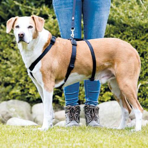 Trixie Stay szelki antyucieczkowe Rozmiar XS–S: obwód klatki piersiowej 30–40 cm, szer. 10 mm - Trixie