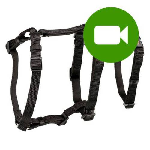 Trixie Stay szelki antyucieczkowe Rozmiar XS–S: obwód klatki piersiowej 30–40 cm, szer. 10 mm - Trixie