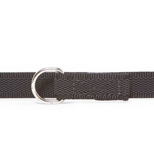 JULIUS-K9® podwójna smycz, gumowana Dł. x szer.: 220 x 2 cm, do 50 kg - Zooplus Selection
