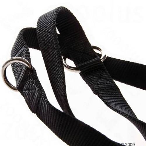 Smycz HUNTER Vario Basic, czarna Dł. x szer.: 200 x 2 cm - Hunter