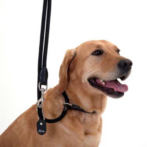 Smycz Hunter Retriever Freestyle, czarna Dł x Ø: 260 x 1 cm - Hunter