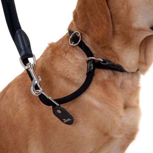 Smycz Hunter Retriever Freestyle, czarna Dł x Ø: 260 x 1 cm - Hunter