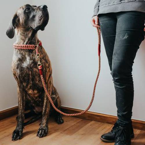 HUNTER półzaciskowa obroża Tinnum, czerwono-beżowa  XL, obwód szyi: 70 cm, szer.: 30 mm - Hunter