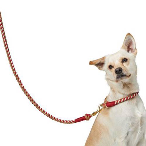 HUNTER obroża Tinnum, czerwono-beżowa  L-XL, obwód szyi: 60 cm, Ø 14 mm - Hunter