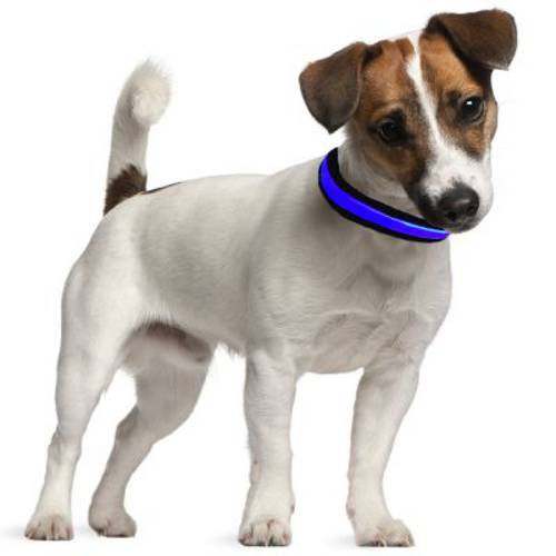 Eyenimal obroża LED dla psa, niebieska Obwód szyi: 40-45 cm - Eyenimal