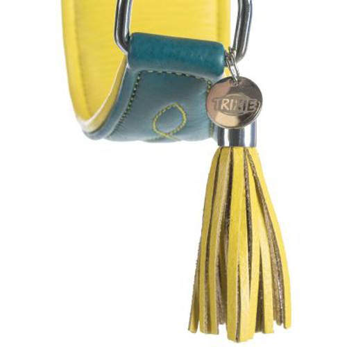 Trixie Active Comfort obroża dla chartów, petrol/żółta Rozmiar XS–S: 24–31 cm, szer. 50 mm - Trixie
