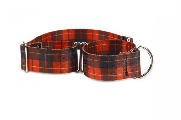 Obroża Zaciskowa Martingale - Szkocka Krata 0606 50MM 44-60CM - matteo-company
