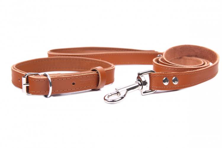 Obroża skóra Premium Brąz-Brąz 1191 16MM 34CM 23-31CM - matteo-company