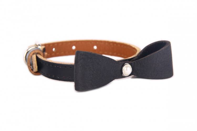 Obroża Skóra z kokardą – Czarna 0431 18MM 44CM 33-41CM - matteo-company