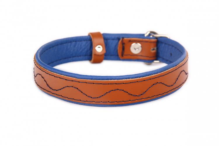 Obroża skóra Premium Fala – Brąz/Niebieski 1383 24MM 50CM 35-46CM - matteo-company