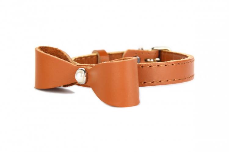 Obroża Skóra z kokardą – Brązowa 0432 18MM 44CM 33-41CM - matteo-company