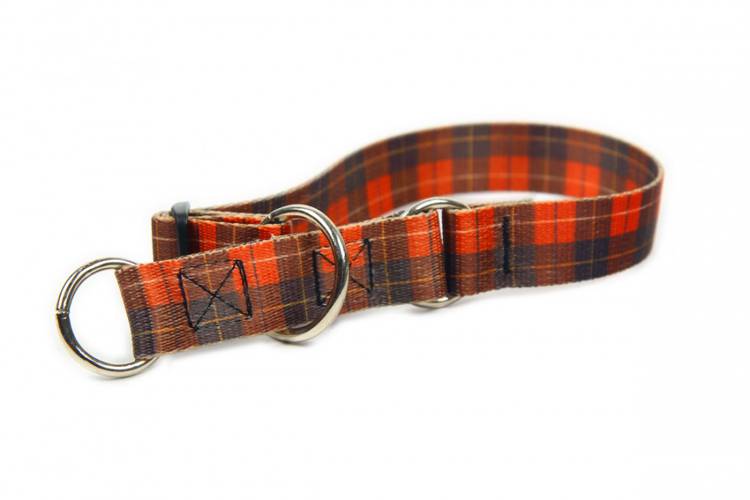 Obroża Półzaciskowa - Szkocka Krata 0626 25MM 32-50CM - matteo-company