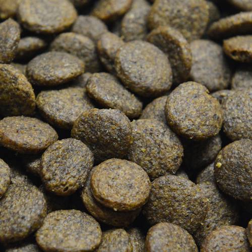 Karma sucha dla psa - Tuńczyk z batatami i brokułami 6kg - EcoFood24