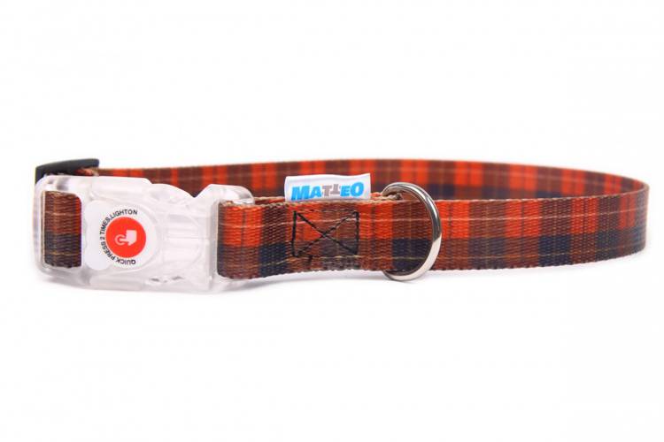 Obroża Klamra LED - Szkocka Krata 0546 20MM 55CM 35-50CM - matteo-company