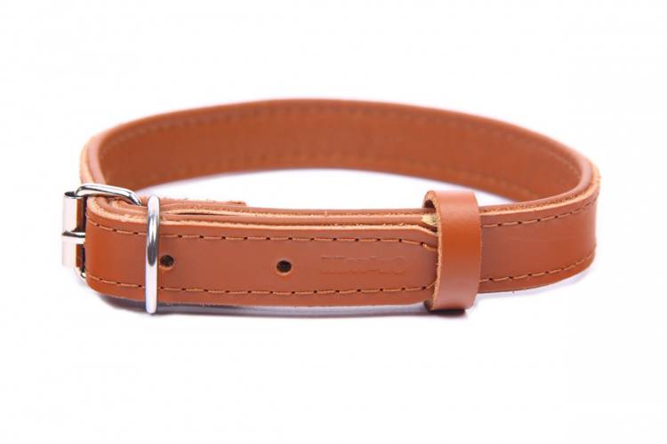 Obroża skóra Premium Brąz-Brąz 1181 14MM 31CM 23-28CM - matteo-company