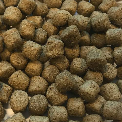 Karma sucha dla psa - Wysoka zawartość ryby i ryżu 2kg - EcoFood24