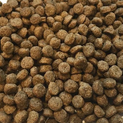 Karma sucha dla psa - Kurczak z ryżem 6kg - EcoFood24