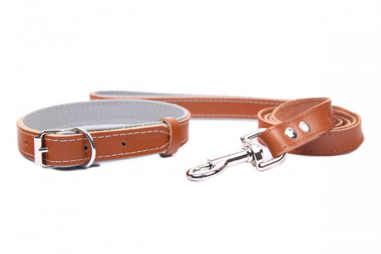 Obroża skóra Premium Brązowy-Szary 1224 24MM 50CM 35-46CM - matteo-company