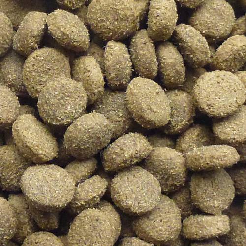 Karma sucha dla psa - Jagnięcina z ryżem 2kg -