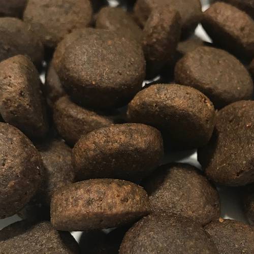 Karma sucha dla psa - Indyk z batatami i żurawiną 6kg - EcoFood24