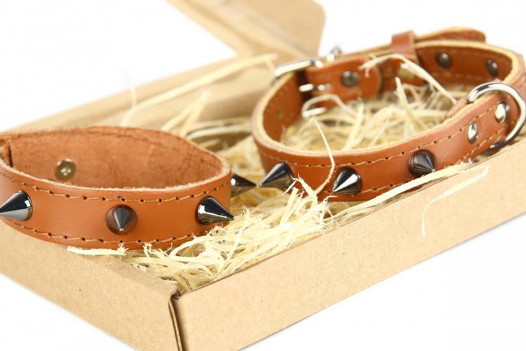 Obroża Skóra Kolec – Brązowa 0262 14MM 34CM 23-31CM - matteo-company