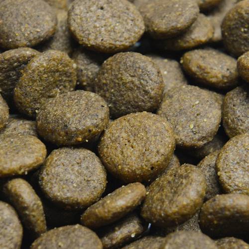 Karma sucha dla psa - Plamiak z batatami i natką pietruszki 2kg - EcoFood24