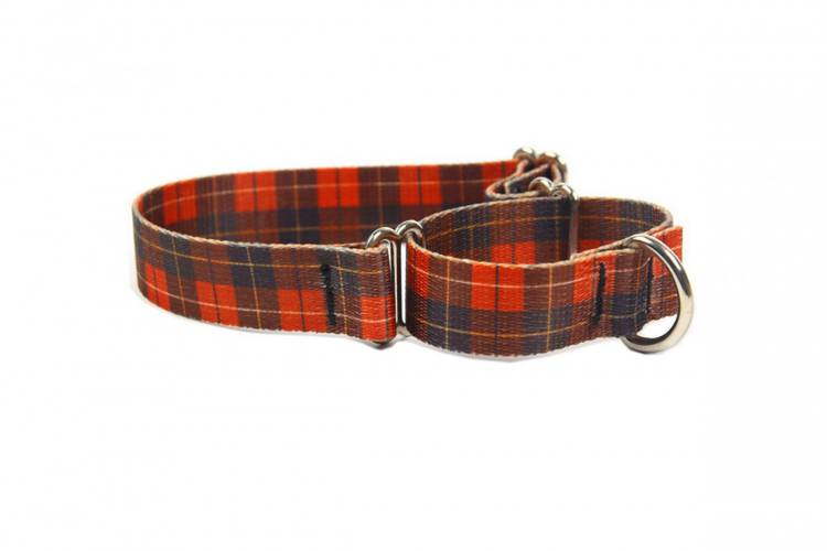 Obroża Zaciskowa Martingale - Szkocka Krata 0606 50MM 44-60CM - matteo-company