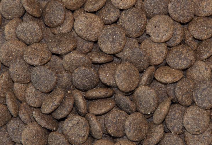 Karma sucha dla psa - Konina z batatami i granatem 12kg - EcoFood24