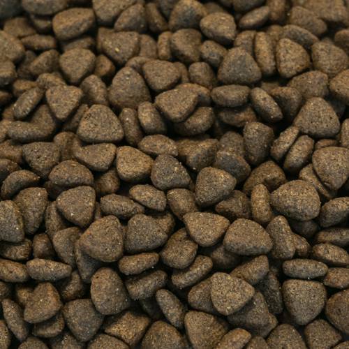 Karma sucha dla psa Senior - Indyk z wolnego wybiegu z pietruszką, papają, pokrzywą, cukinią i dynią 6kg - EcoFood24