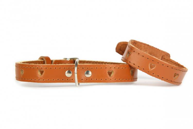 Obroża Skóra Serca  - Brązowy 0362 18MM 44CM 33-41CM - matteo-company