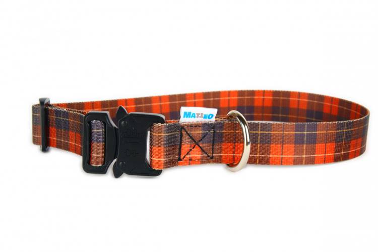 Obroża Klamra Metalowa - Szkocka Krata 0526 25MM 32-58CM - matteo-company