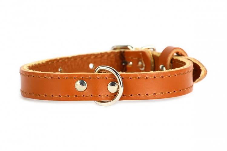 Obroża Skóra Gładka – Brązowa 0032 14MM 34CM 23-31CM - matteo-company