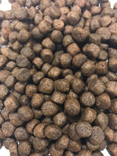 Karma sucha dla psa - Łosoś z plamiakiem, błękitkiem, batatami i szparagami 2kg - EcoFood24