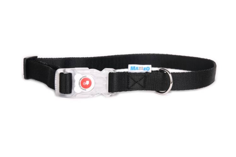 Obroża Klamra LED – Czarna 0540 20MM 35-50CM - matteo-company