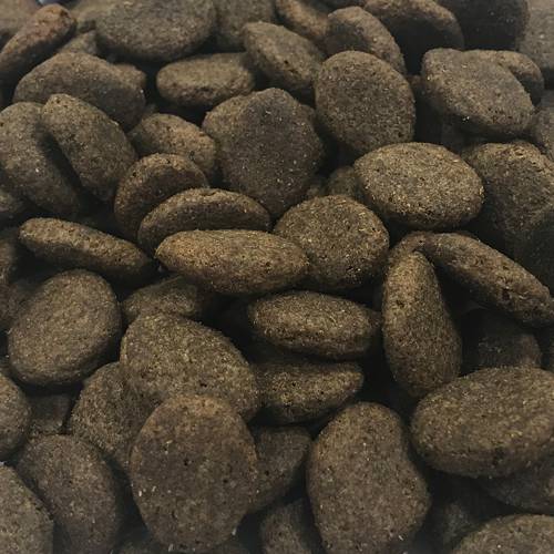 Karma sucha dla psa - Łosoś z pstrągiem, ziemniakami i Itch-Eeze 12kg - EcoFood24