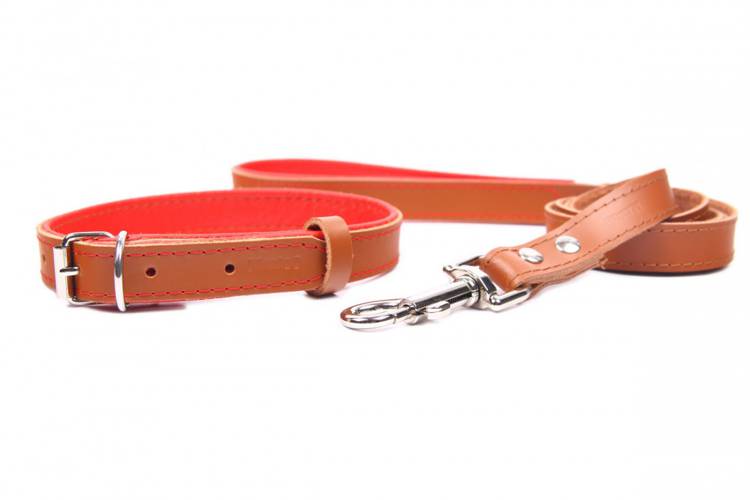 Obroża skóra Premium Brązowy-Czerwony 1222 24MM 50CM 35-46CM - matteo-company