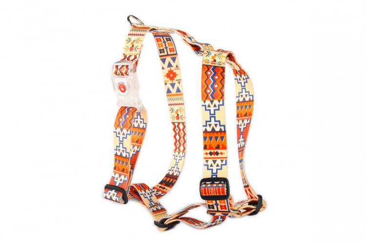 Szelki Guard - Boho 0852 LED 25MM 38-64CM - matteo-company