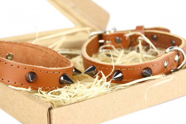 Obroża Skóra Kolec – Brązowa 0282 18MM 44CM 33-41CM - matteo-company