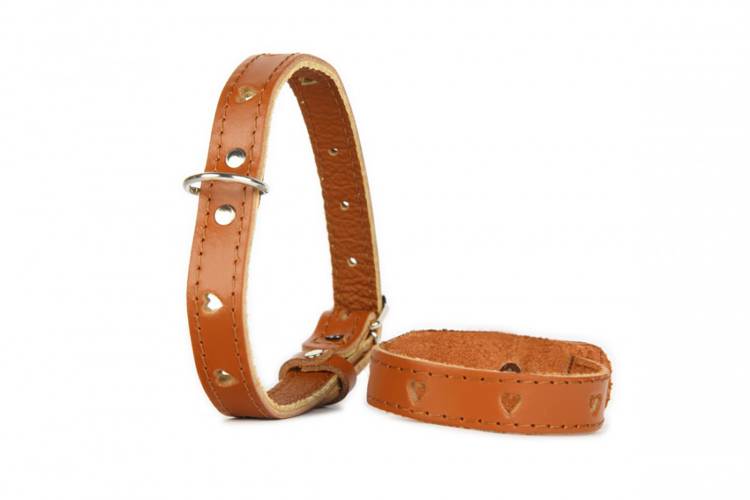 Obroża Skóra Serca  - Brązowy 0352 16MM 40CM 28-36CM - matteo-company