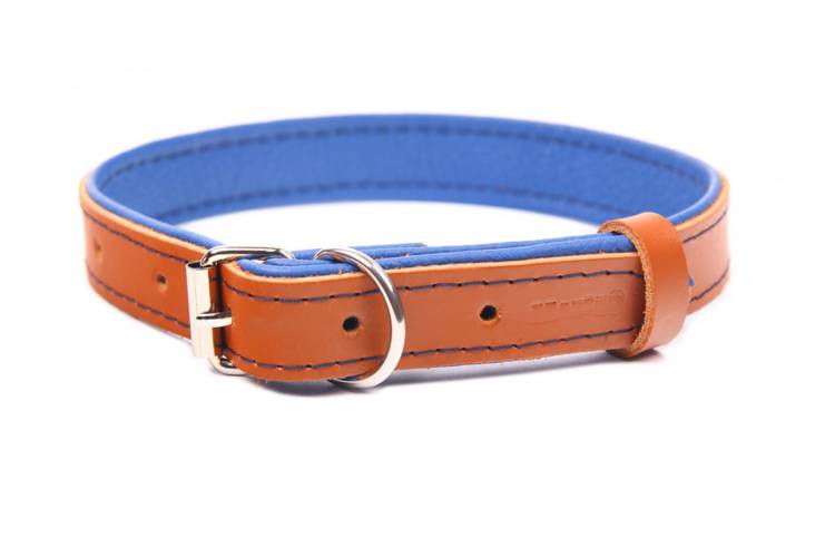 Obroża skóra Premium Brązowy-Niebieski 1223 24MM 50CM 35-46CM -
