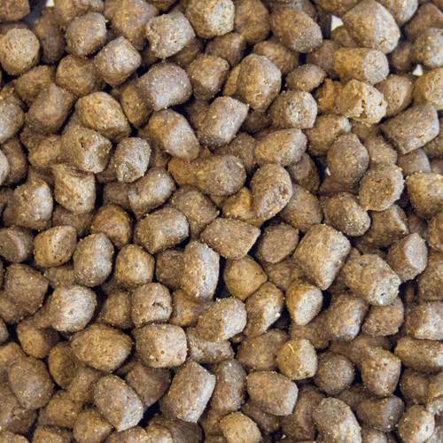 Karma sucha dla psa - Kurczak z indykiem, łososiem, batatami i marchewką 12kg - EcoFood24