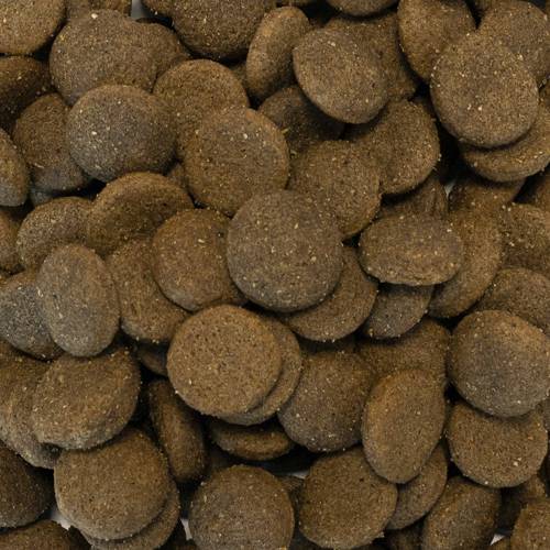 Karma sucha dla psa - Królik z batatami i jeżyną 6kg - EcoFood24