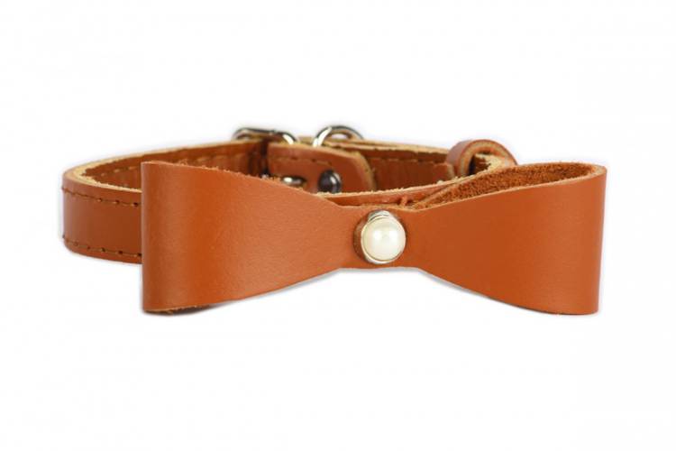 Obroża Skóra z kokardą – Brązowa 0402 12MM 31CM 23-28CM -