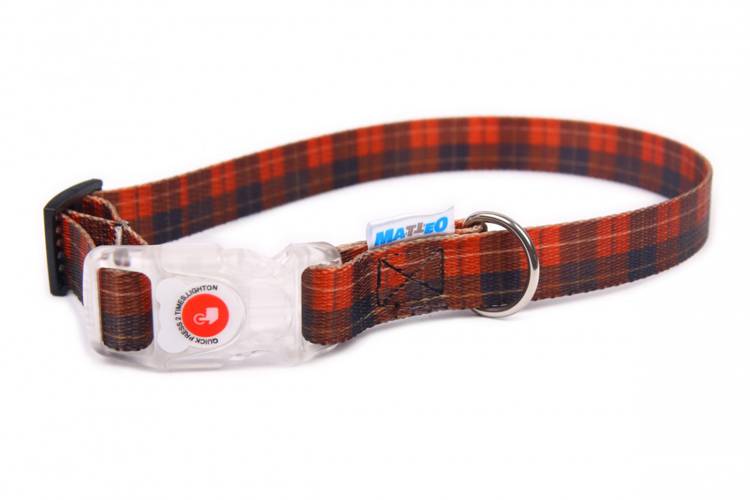 Obroża Klamra LED - Szkocka Krata 0546S 20MM 40CM 20-35CM - matteo-company